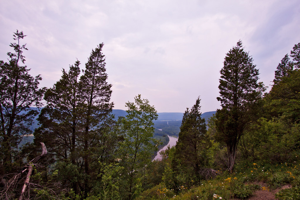 Elevation of Old Ithaca Road, Old Ithaca Rd, Horseheads, NY, USA