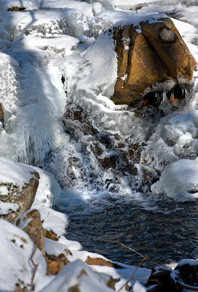 Rock Monster of the Ravine Teetertown Ravine, NJ Flickr