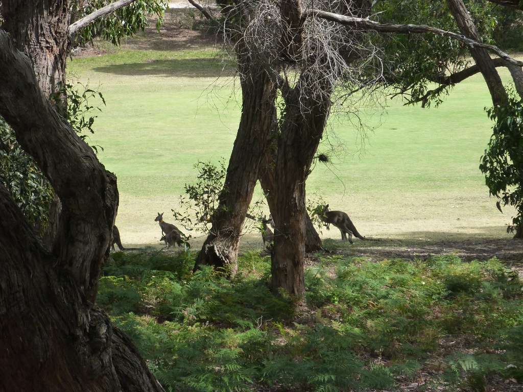 076 Michael Lawton Flickr