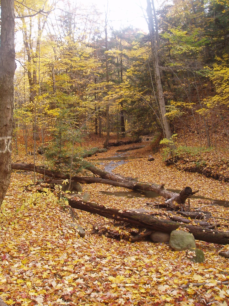 Hunters Creek Wales NY Rob Patterson Flickr