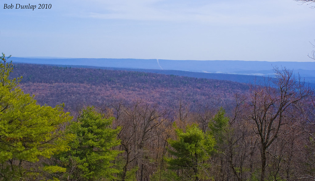 Moshannon State Forest April 2010, PA Bob Dunlap Flickr