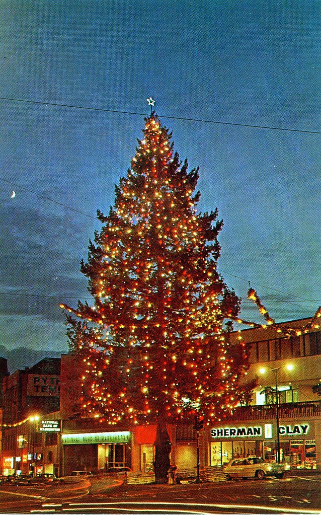 William L. Bird Flickr