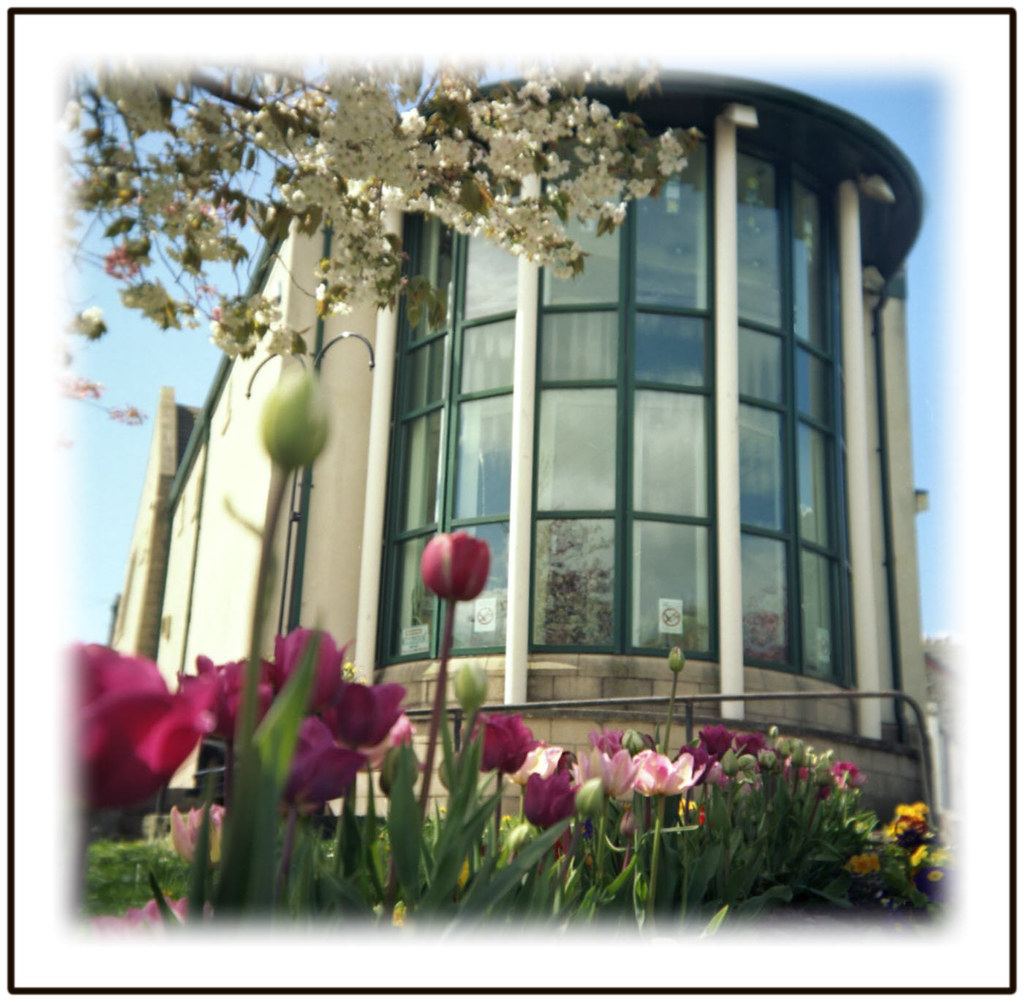 Blossom and windows Ilford Super Sporti at West Kilbride l… Flickr