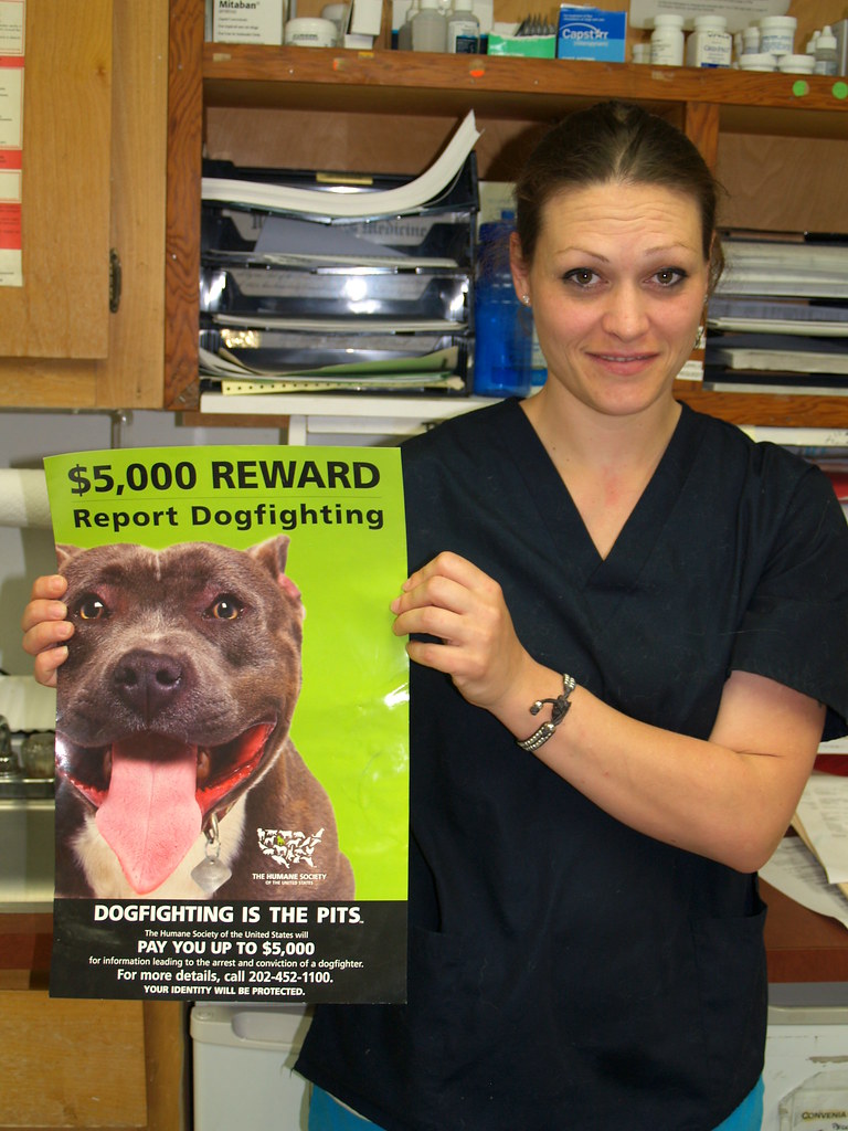 Town and Country Veterinary Clinic Staff and Vets Town and… Flickr