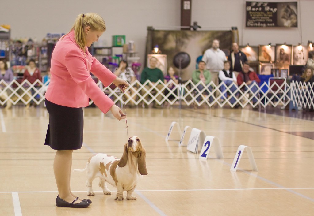 Best Junior Handler PDFCpix Flickr