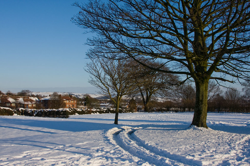Barlow Park From a walk around north Bolton on 9 Jan 2010 Andrew