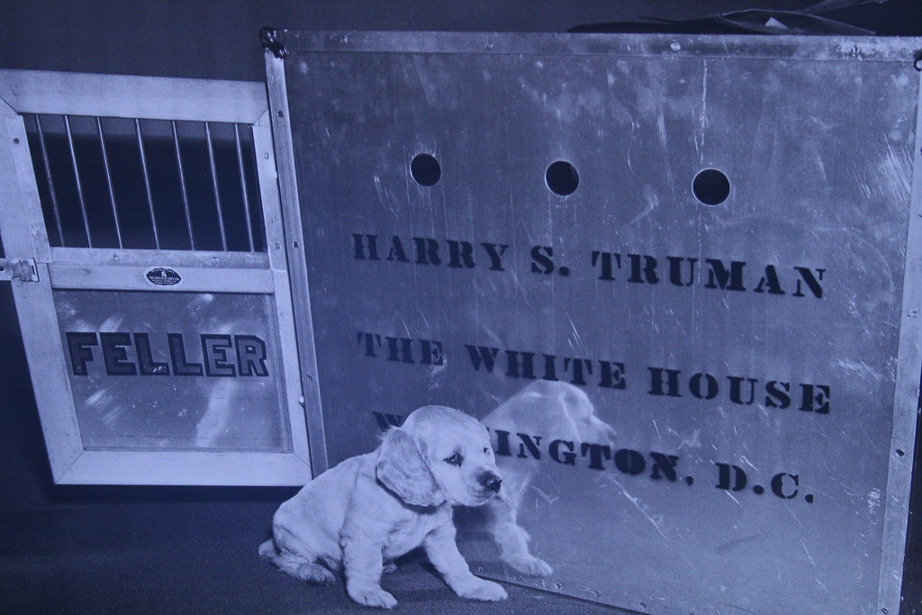 Harry S. Truman's dog Gina Asprocolas Flickr