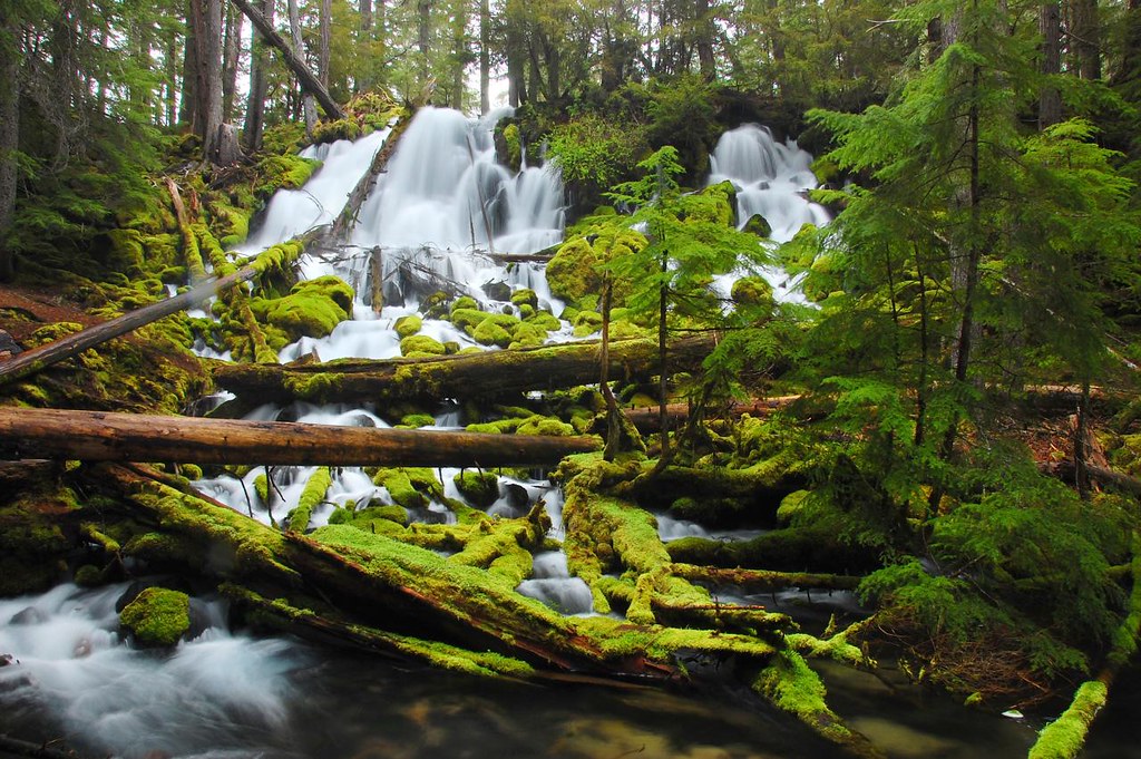 Clearwater Falls Clearwater Falls was one of many cool wat… Flickr
