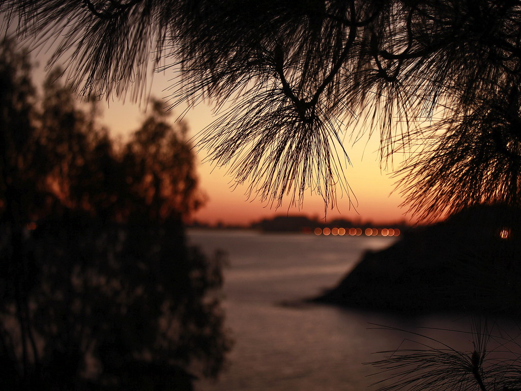 lightingup time jenny downing Flickr