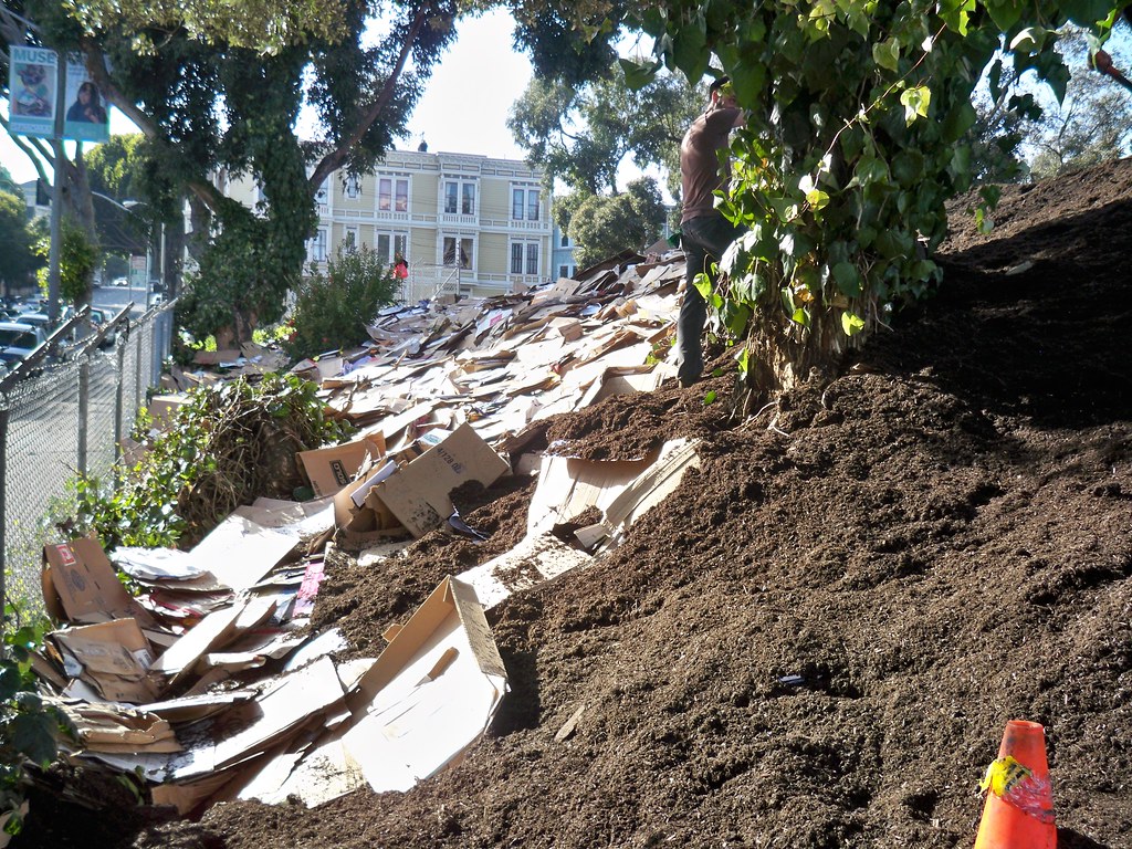 Covered in Cardboard and Ready for Mulch After... Sheet mu… Flickr