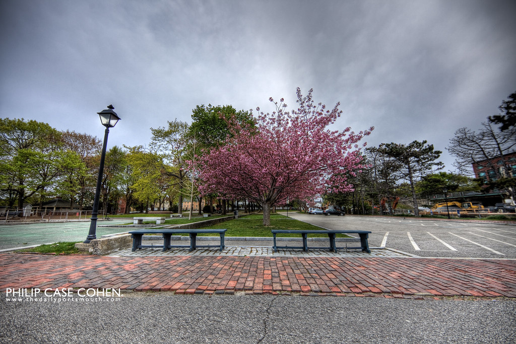 On Black Prescott Park in Bloom by Philip Case Cohen [Large]