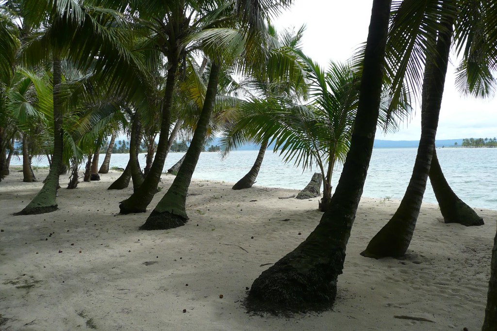 Beach at Kuna Yala island, Panama Beach full of palm trees… Flickr