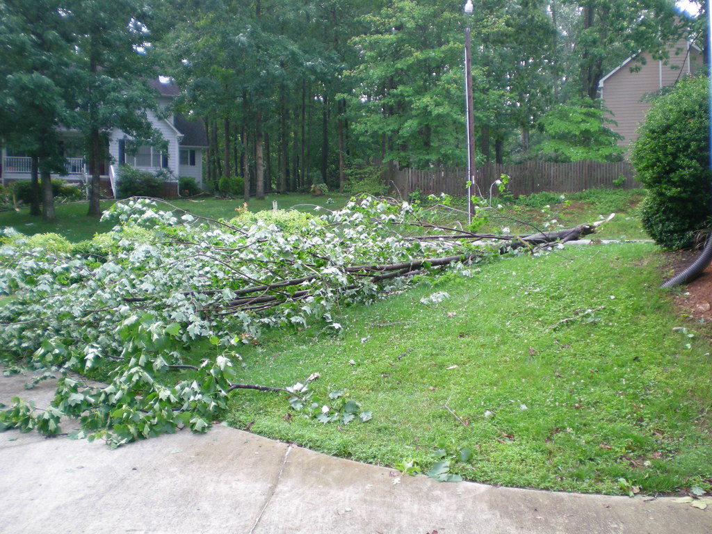 Storm Damage 052810 050 This maple branch came from the to… Flickr