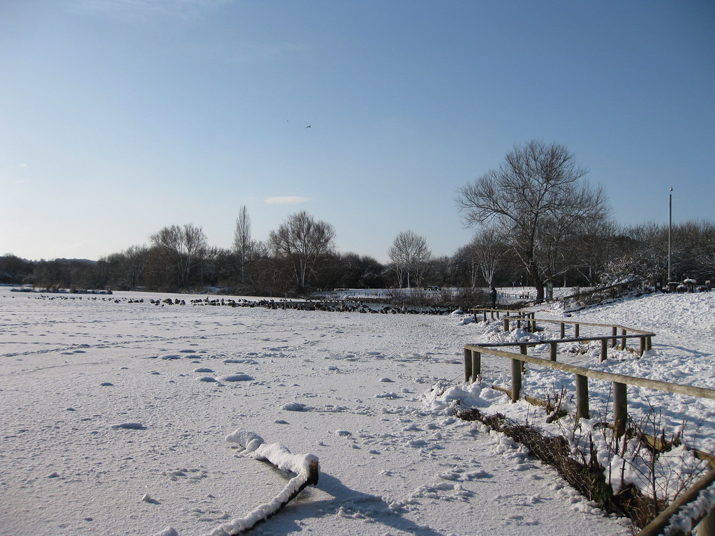 Thatcham Thatcham Nature Reserve elaineholbon Flickr