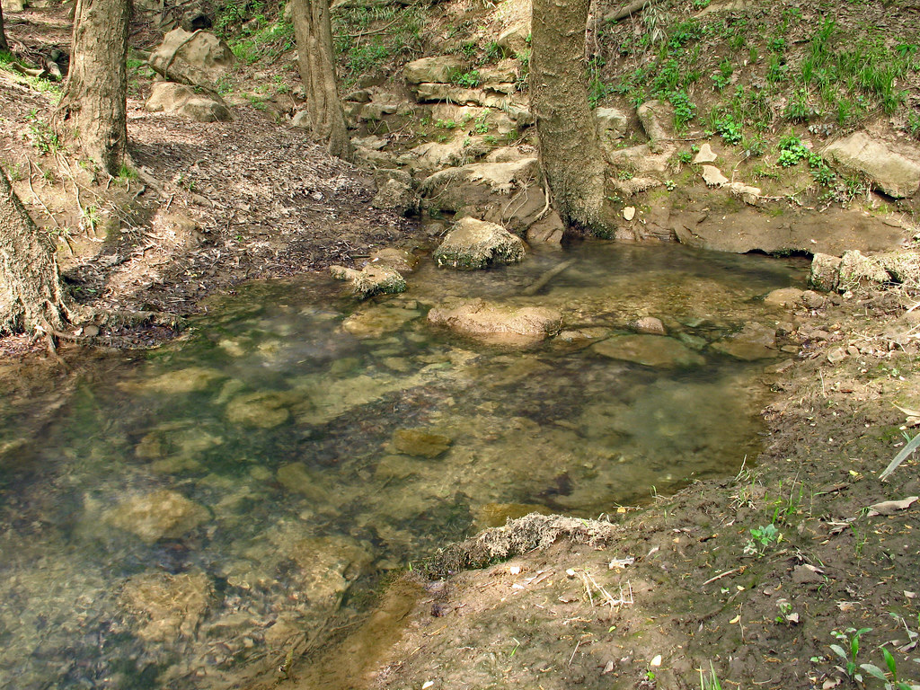 fern cave spring, paint rock river valley, jackson county,… Flickr