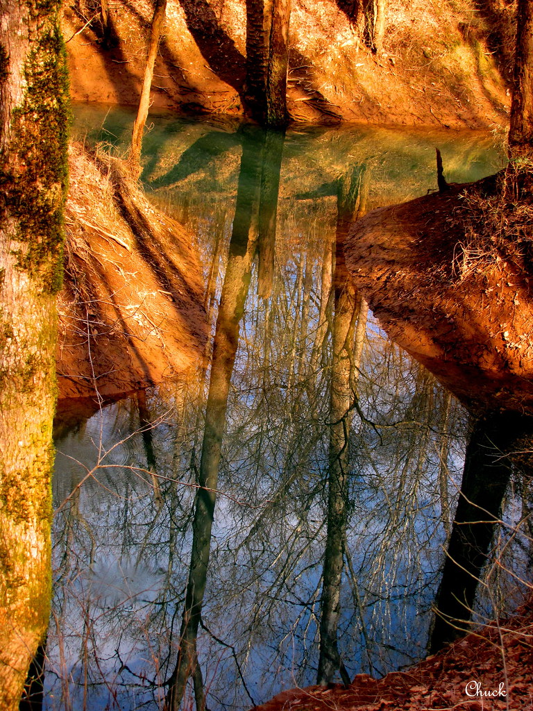 Echo River Spring This is where one of the many rivers tha… Flickr