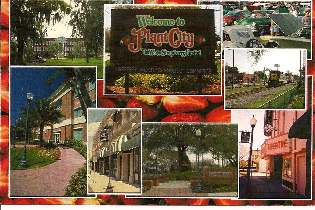 Plant City Florida Postcard (Available) Available for Swap… Flickr