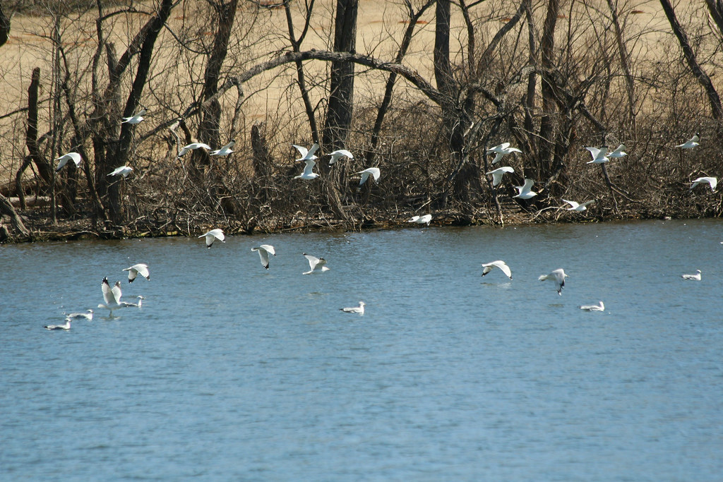 Ft.Cobb Lake Oklahoma Fort Cobb was established as a US Ar… Flickr