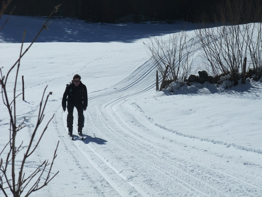 Xcountry skiing near Au (3) Skiing the xcountry tracks n… Flickr