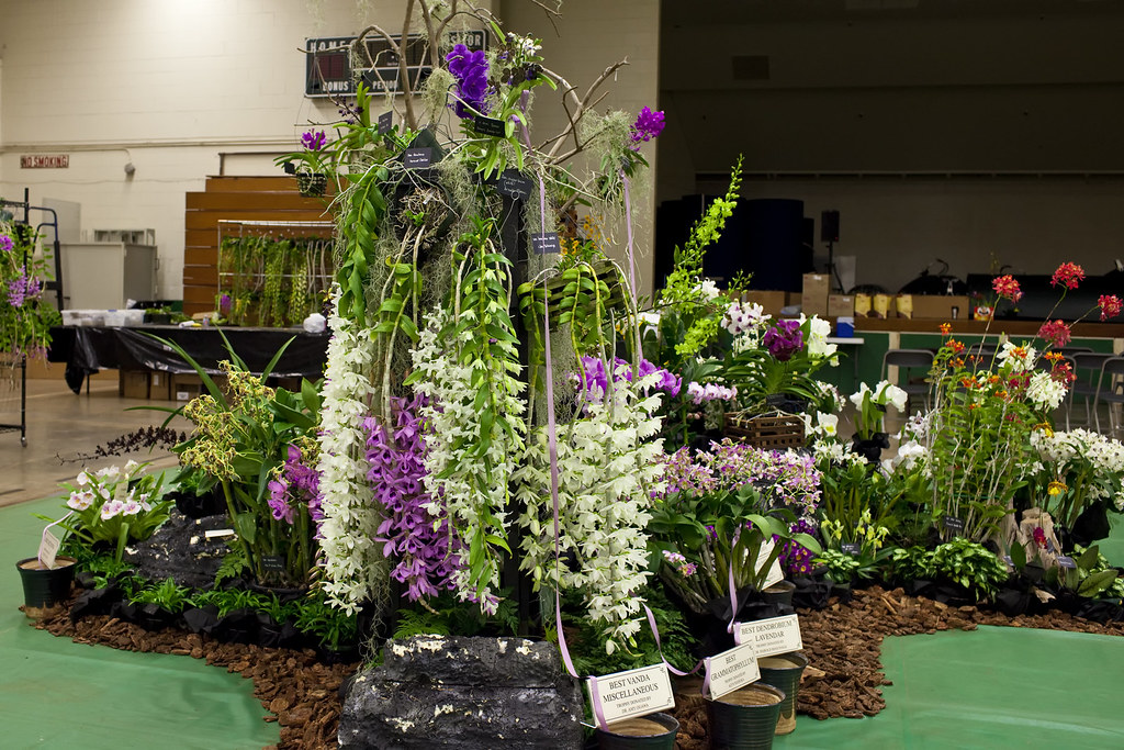 Kunia Orchid Society Floor Display This is a side view of … Flickr
