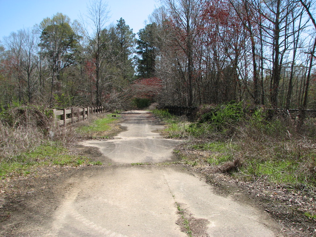 Elevation of US, Dry Prong, LA, USA Topographic Map Altitude Map