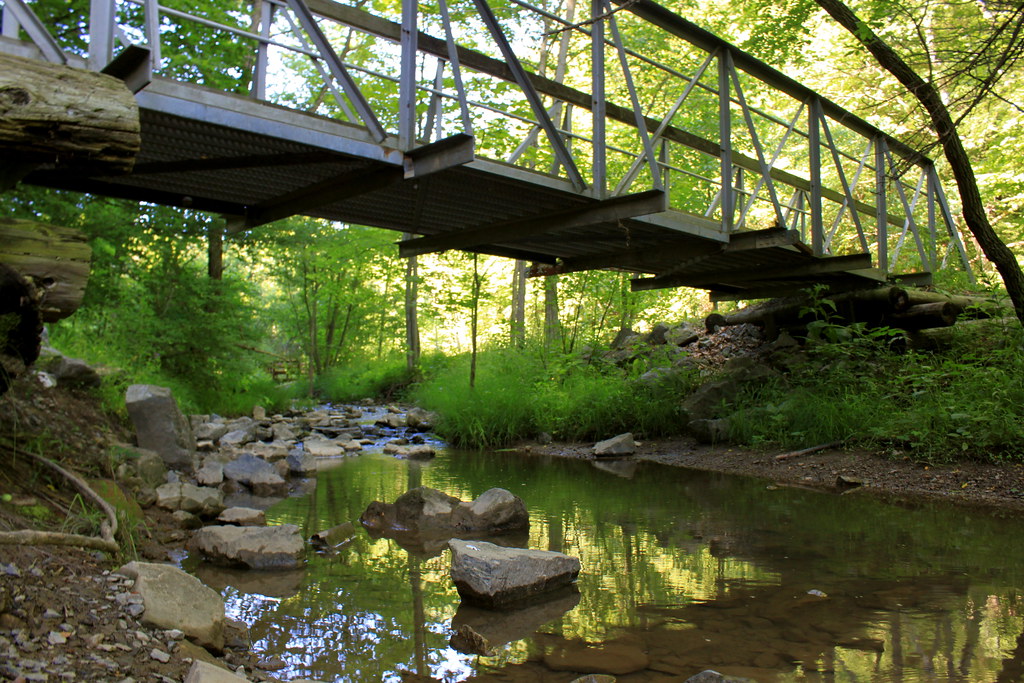 Mary Ann's Creek, Canoe Creek State Park Taylor Mc Flickr