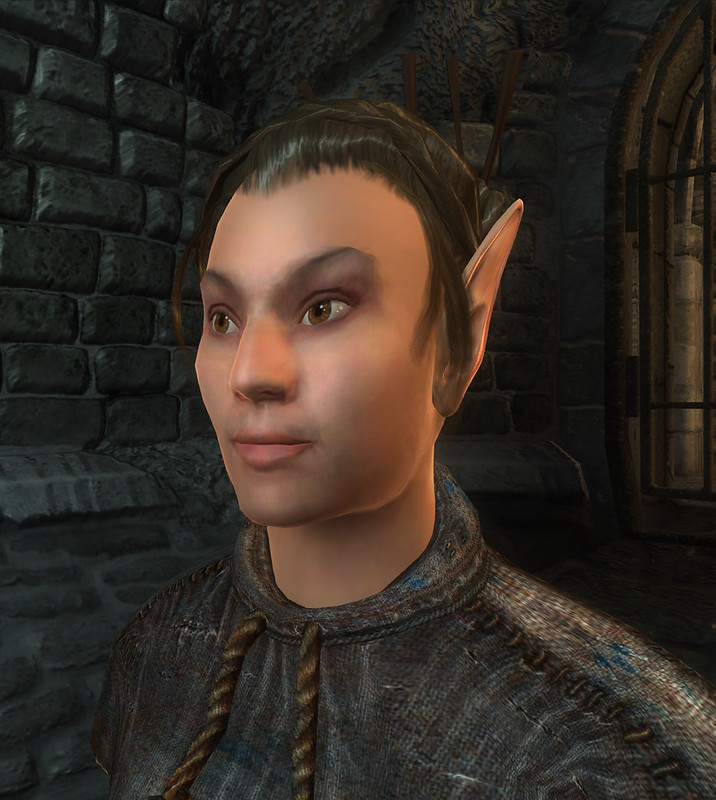 Oblivion Wood Elf female face Flickr
