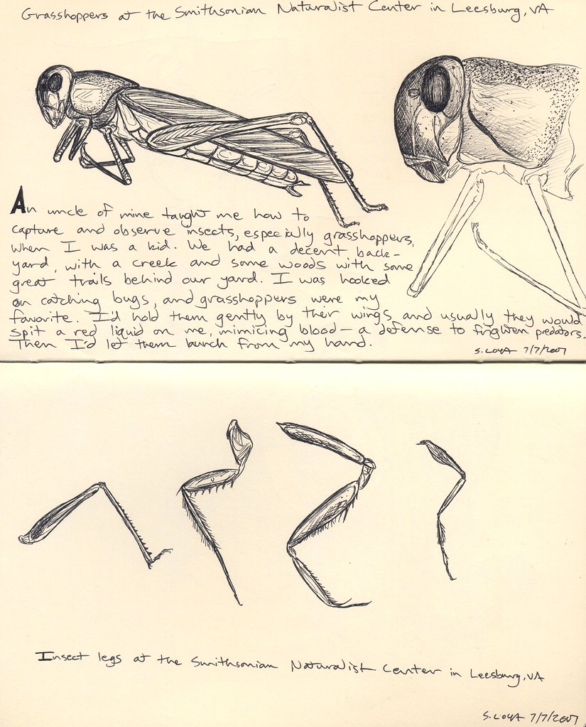 moleskine book 1, pages 21 and 22 moleskine book 1, pages … Flickr