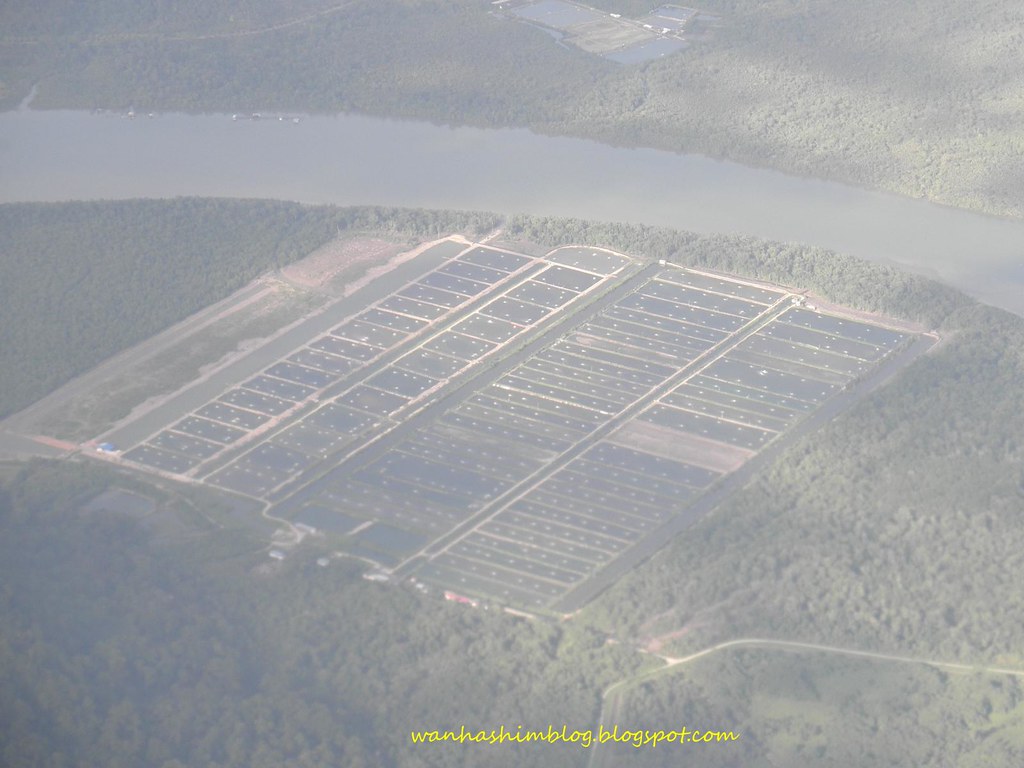 PC280717e Commercial Fish Pond in Santubong wanhashim Flickr