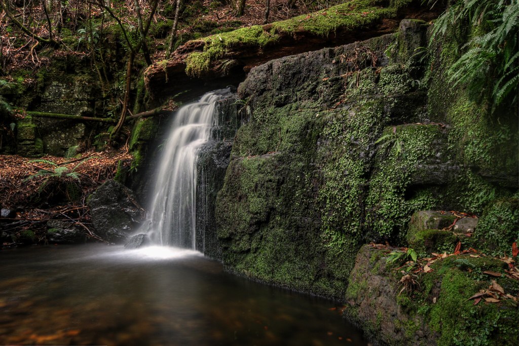 Strickland This is Strickland Falls in Tasmania. I took so… Flickr