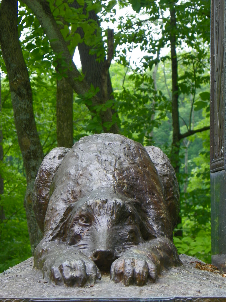 Irish Wolfhound on Irish Monument Gettysburg NMP msnvrebelle Flickr