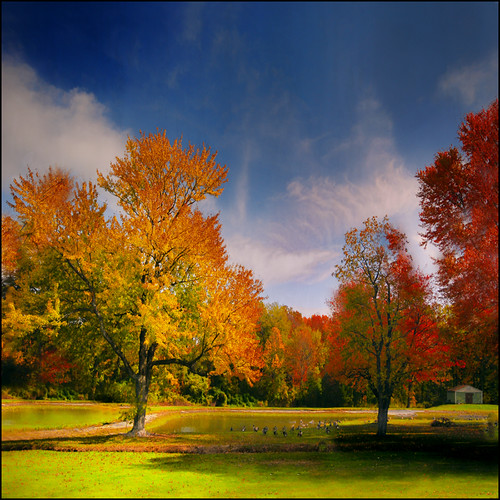 Split Rock Golf Course...Bronx/PelhamNY Esta eh uma das c… Flickr