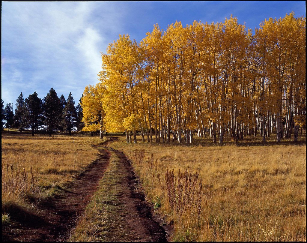 flagstaff, az october 2010 FLUIDR! frank brinsley Flickr