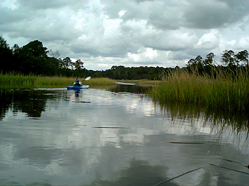 ACE Basin photo of an ACE Basin kayak tour by Beaufort Kay… Flickr