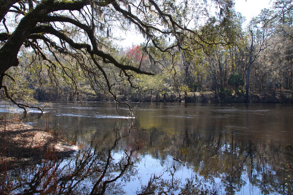 Beautiful Suwanee River Anderson Springs Trail Twin Rivers… Flickr