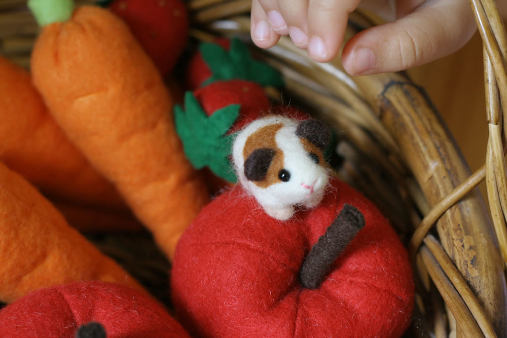 Rodent Needle felted guinea pig. Based on the instructions… Flickr