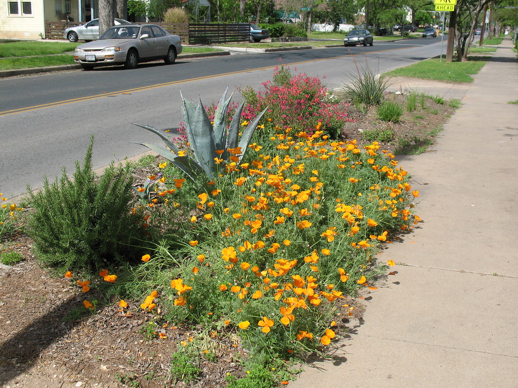 Austin Chicken Coop Tour 4/3/10 Flickr