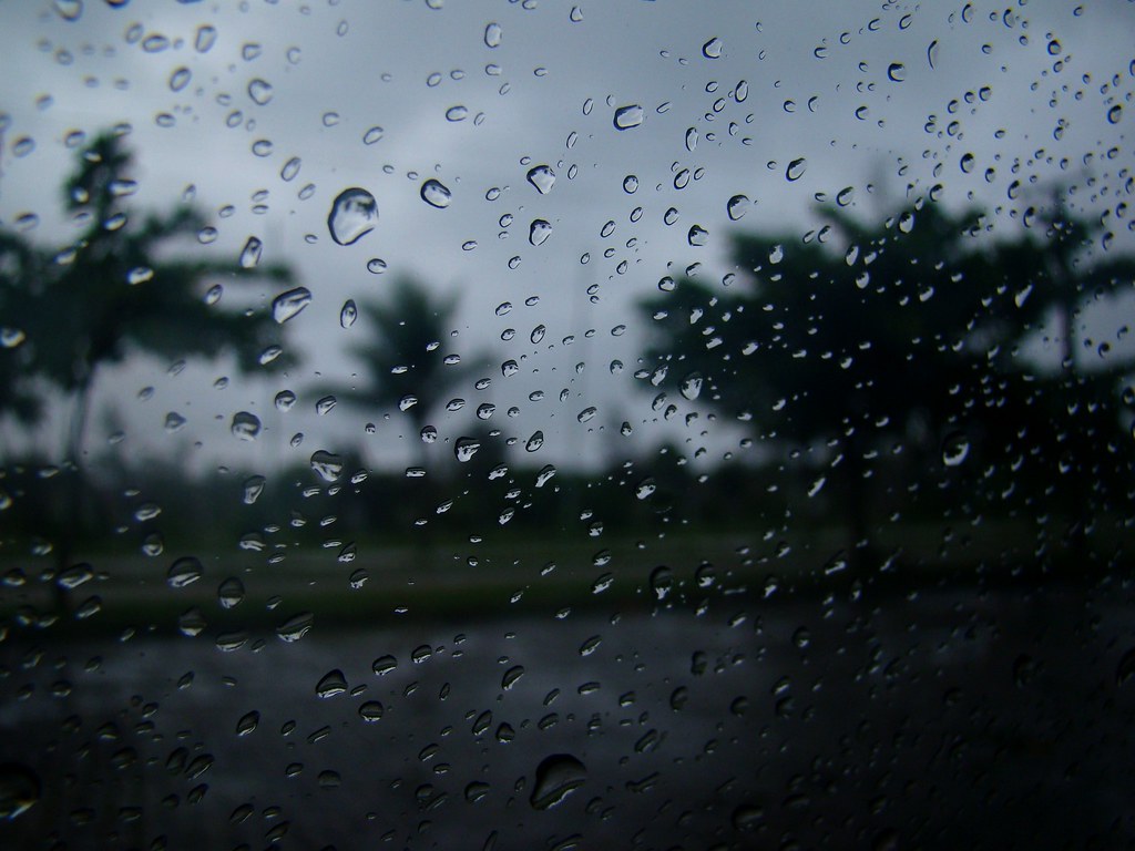 Sunday morning rain is falling Steal some covers, share so… Flickr