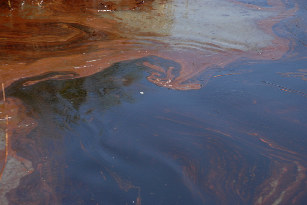 Oil Impacts PAL, May 19, 2010 Thick oil pools in the water… Flickr