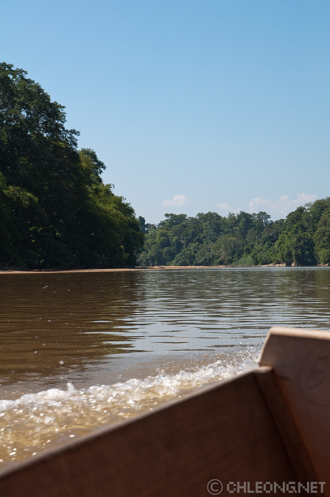 Along Sungai Pahang chee.hong Flickr