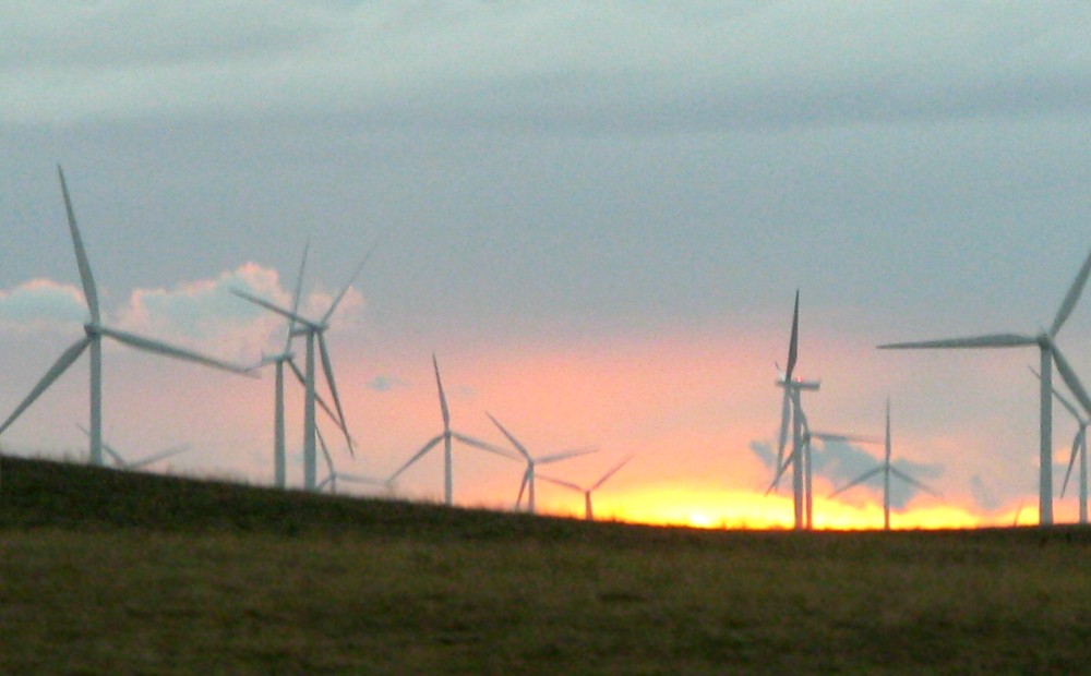 IMG_9120crop Hwy 12, between Rio Vista and Fairfield Kathy and Dave