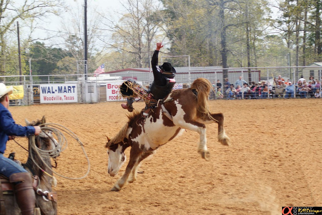 DSC04917 Pro Rodeo Star Ford Adkins at Woodville Rodeo. Ta… Flickr