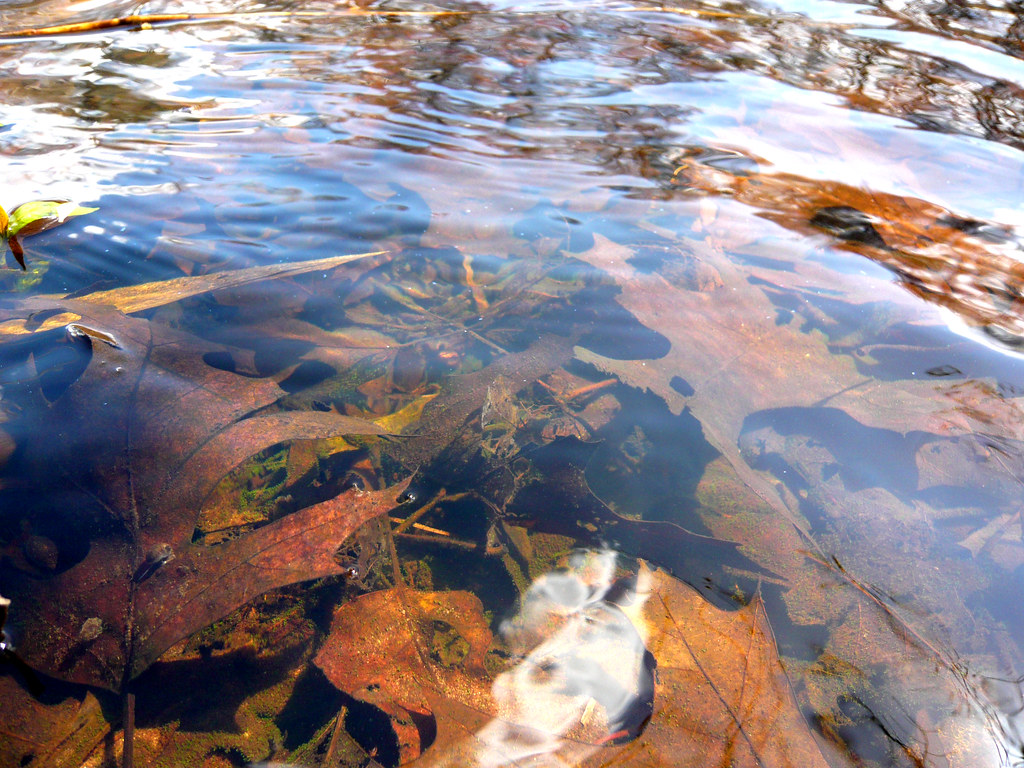 down by the river2 PECONIC EXPLORATION artsites gallery … Flickr