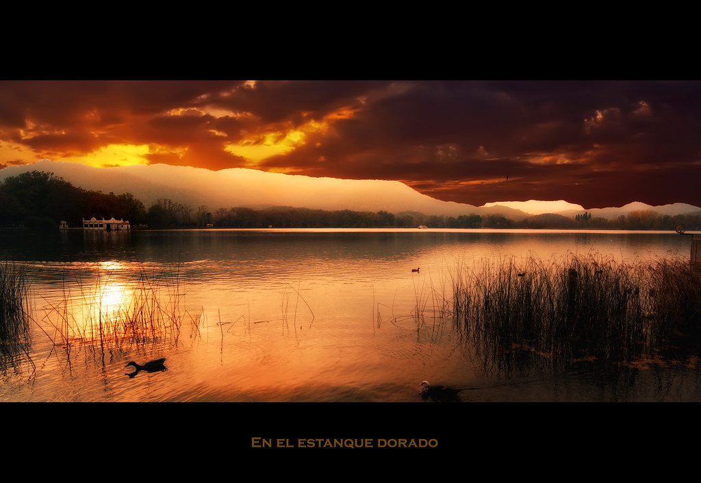 Flickriver Most interesting photos from Wonderworld Gallery pool