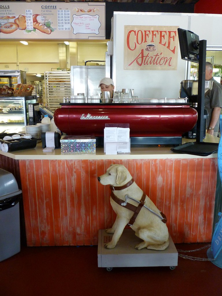 Goulburn Bakery with guidedog at coffee counter Rose Holley Flickr