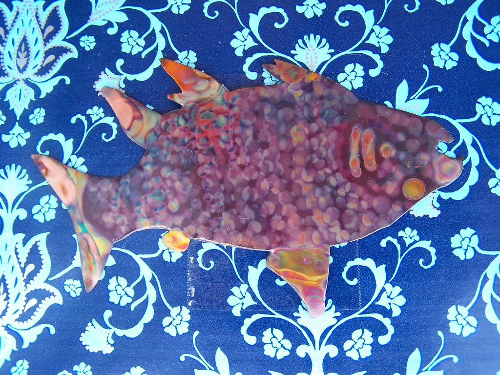 Photo[463] Kaleidoscope Salmon Sam Warren Flickr