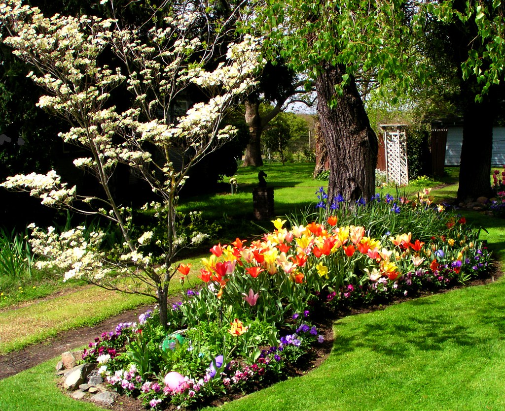 Lockeford Garden Photo taken in Lockeford, CA CSilva19 Flickr