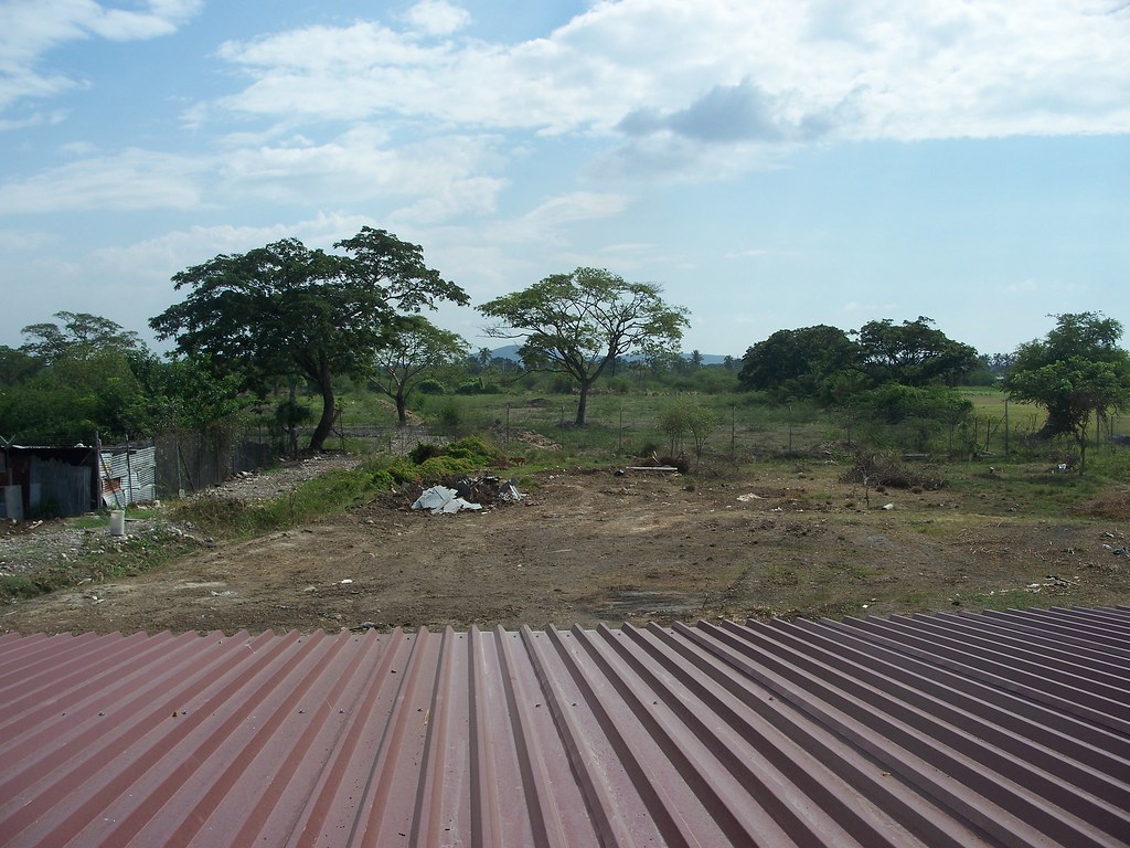 Jamaica 12.09 007 Mustard Seed Flickr