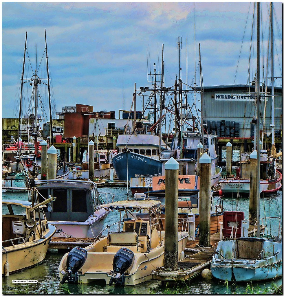 Safe In the Harbor part of the Pillar Point Fishing Flee… Flickr