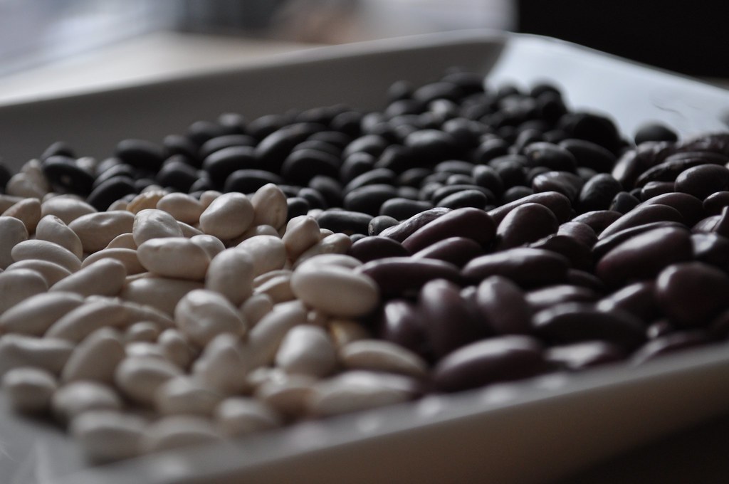 Black beans, red kidneys, & great northerns Britt Flickr